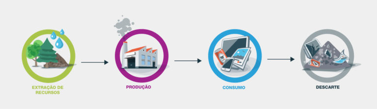 processo economia linear